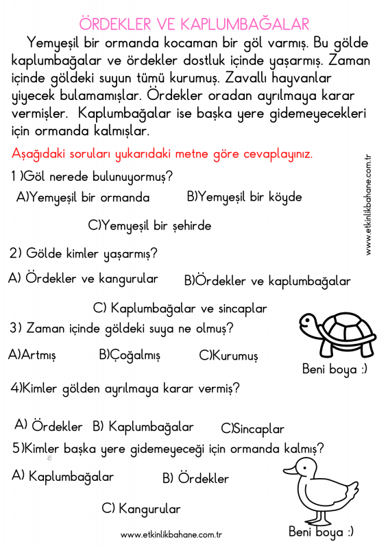 Ördekler ve kaplumbağalar